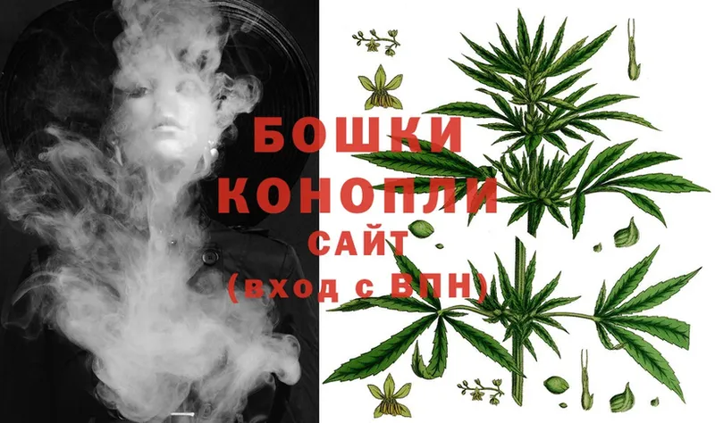 купить наркотики цена  Конаково  Бошки Шишки SATIVA & INDICA 